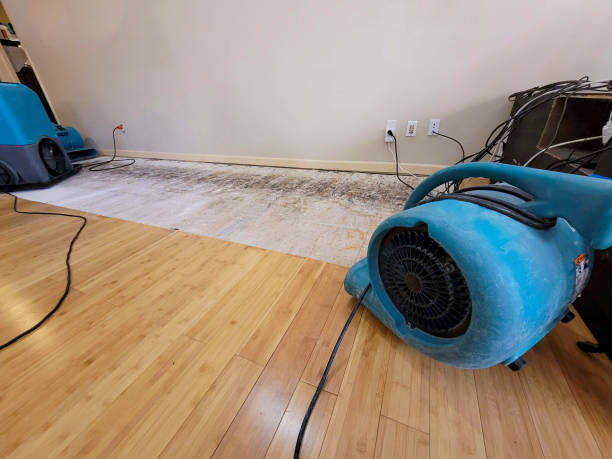 Professional Structural Drying technician working in Deer Park, IL